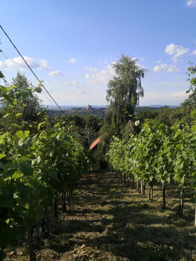 Villa Vikendica Sirec Ptujska Gora Exterior foto